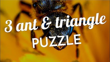 3 Ants And Triangle Puzzle | Puzzle In Hindi | Puzzle Questions | Riddles | Interview Brain Teasers