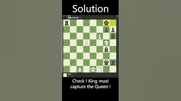 Chess Puzzle 109: The King