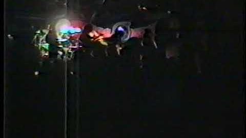 australian metal fatal array, rigormortis end of gig ,warwick