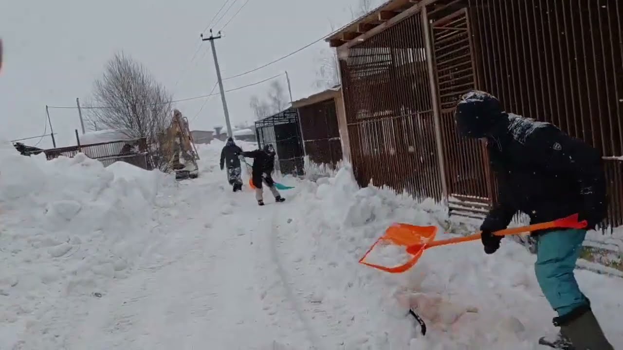 Помогите спасти Лохматых ДЕТЕЙ!
