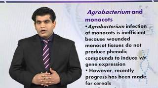 BIO732_Topic186