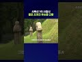 1,400만 찍은 왕사남, 정작 후손들은 파탄 난 이유 #사육신 #shorts #스브스뉴스