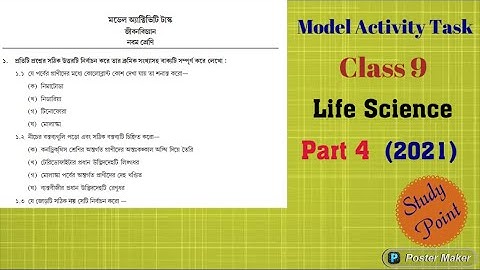 Class 9 || Life Science || Model Activity Task || Part - 4 || 2021