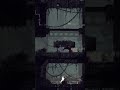 What do these do? #rainworld