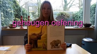 geheugen oefening screenshot 4