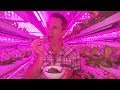 Can technology revolutionise your food? - BBC Click