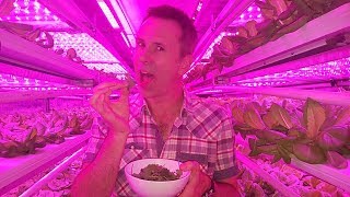 Can technology revolutionise your food? - BBC Click