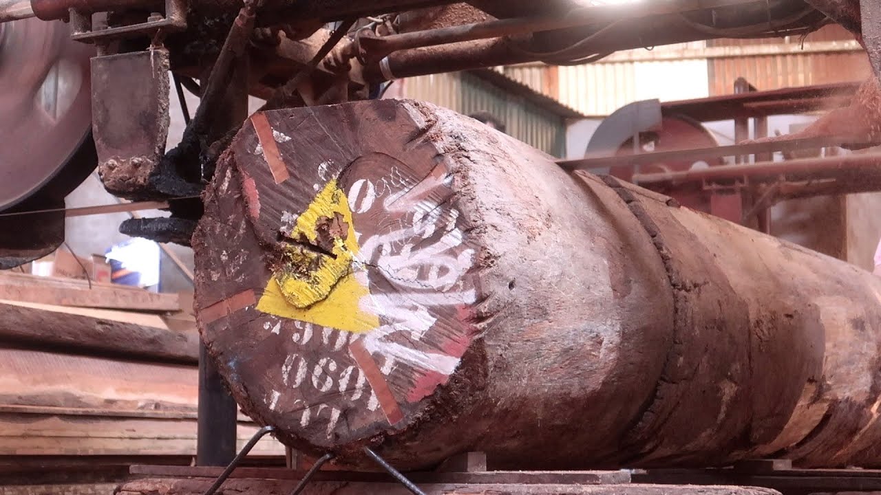 999 Years Old Big Ironwood // The Process Of Sawing And Sawing Trees At ...