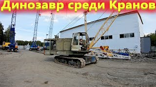 Гусеничный Кран с огромным ресурсом! Почему выбирают РДК 250?