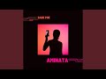 Aminata Radio Edit
