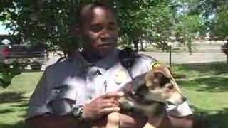 Clovis Animal Shelter pet of the week 21-25 May 2007