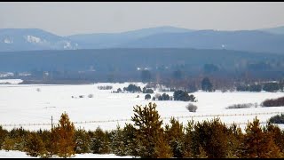 :   !        !        ?