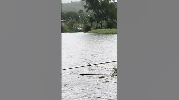 ngồi chờ cá cắn câu một ngày một chút rồi