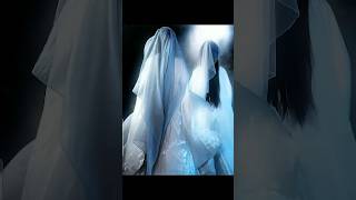 I Love 2 Fox Sisters I Mean Jujingyi U0026 Chendulingjujingyichendulingchinesedramaveilofshadows