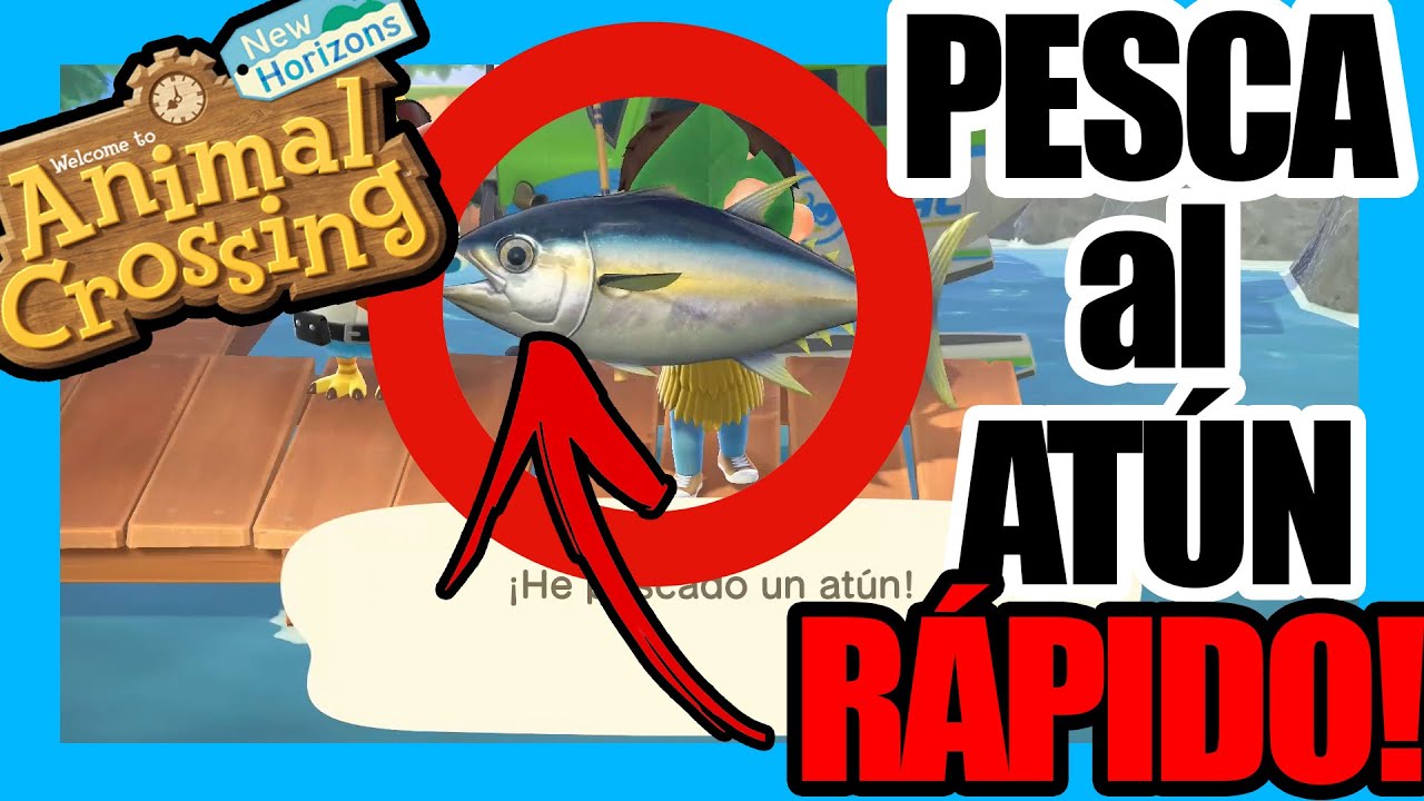 Como PESCAR un ATUN | ATUN ACNH | ANIMAL CROSSING NEW HORIZONS ATUN ...