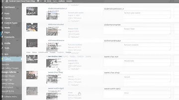 Blogging With WordPress - Chapter 5 - Using NextGen Gallery