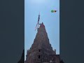 Jay Dwarkadhish 🙌😍 #dwarka #dwarkadhish #jaydwarkadhish #kano #kanudo #shortvideo#viralvideo #viral