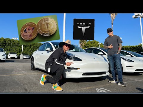 Video Hai Lúa đi mua xe Tesla Model 3 2022. [Phần 1] - youtube