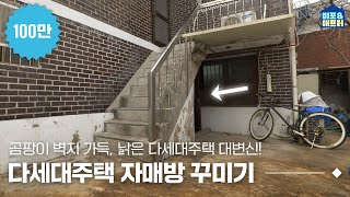 [EN] 곰팡이벽지가 가득했던 20년 된 다세대주택에 호텔방 차려드리고 왔습니다 | 비포애프터 ep.18 screenshot 2