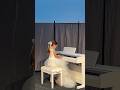 Primul recital de pian! 🎹 #piano #shorts #rebestar #kids #music #copii #trendingshorts #trending
