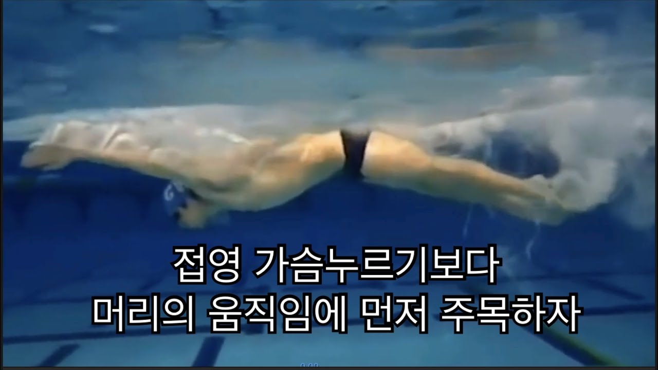 접영 - 가슴누르기보다 머리의 움직임에 집중해보자.