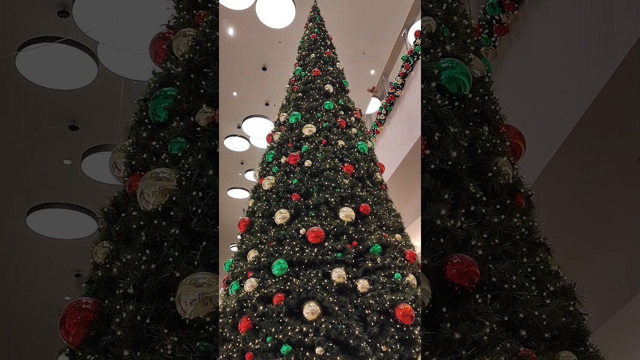 Every journey is like navigating through holiday decorations – full of...