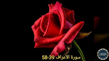 عمر النبراوي | سورة الأعراف 39-58