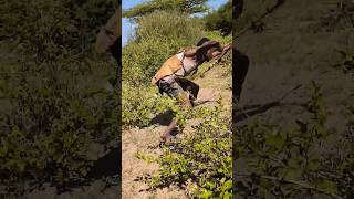 He_Waited_for_the_Perfect_Moment…_Then_Everything_Took_Off___Bush_Awareness! #indonesia #africa