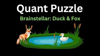Brainstellar Problem 8 | Duck & Fox | Quant Puzzle