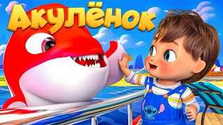 🔴 LIVE Песенка про Малыша Акулу - Детские стишки и детские песни #детскиестишки #детскиепесни