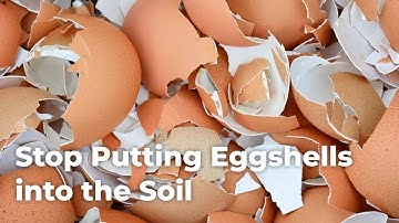 How to CORRECTLY Extract Calcium from Egg Shells for Healthy Plants