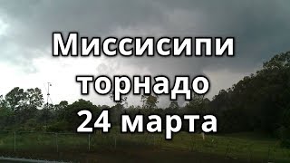 Миссисипи Алабама торнадо 24 марта