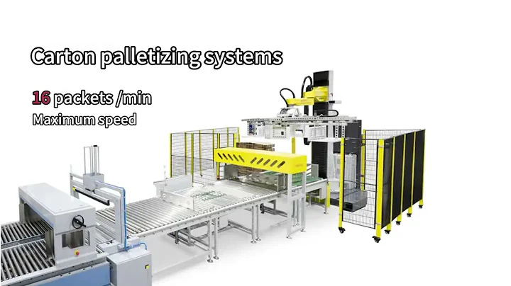 Wanerx Carton and Cardboard Palletizing System Introduction
