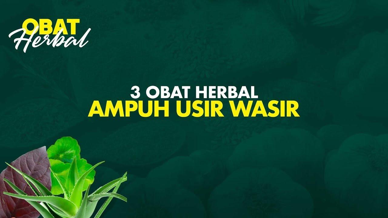 3 Obat Herbal Paling Manjur untuk Menyembuhkan Ambeien, Dijamin langsung Hilang! | Hidup Sehat tvOne