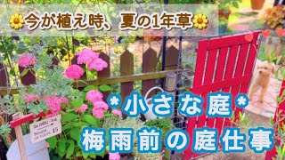 【*夏の一年草*植え付けシーズン】梅雨前の植え付け作業/オシャレな宅配ボックス/古土の処分/マーガレットの蒸れ対策/アロエの挿し木記録/6月初旬の庭