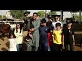 ARY Cattle Farm Karachi | Grand Opening Ceremony | ARY Qtv