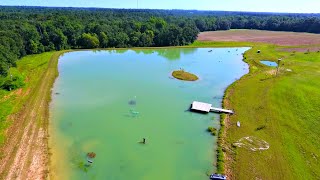 Record Heat Wave Creates Big Problems at the 5 Acre Pond!