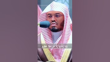 الشيخ ياسر الدوسري || آيات من سورة فصلت