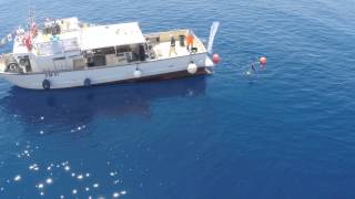 Pelagica pesca turismo Sestri Levante