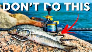 Do Not Go Jetty Fishing without Knowing THIS First - Cut Bait Fishing DEEP