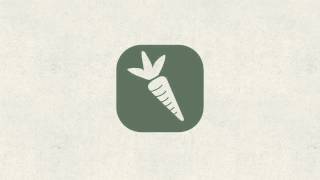 The Carrot, the Egg, and the Coffee Beans