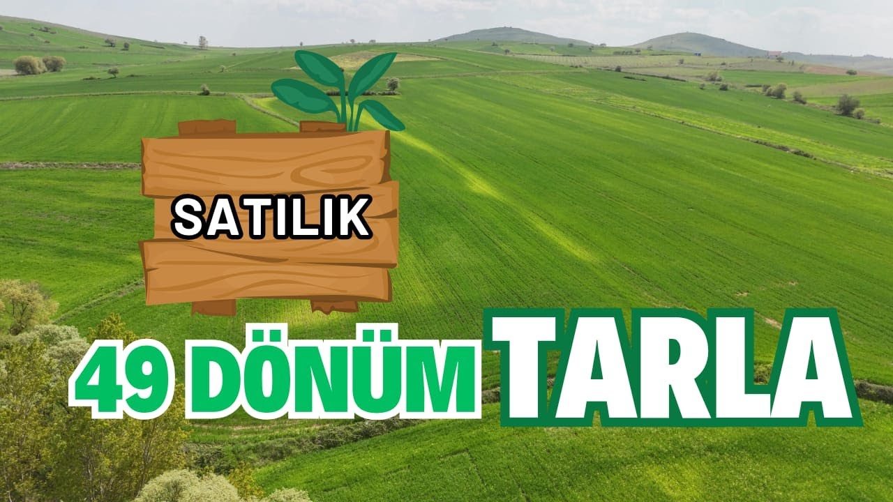 509- 49 Dönüm Tarla