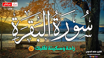 قرآن الصباح ☀️ قرآن كريم بصوت جميل جدا جدا يريح القلب 🤍 القارئ ماجد الدعوس