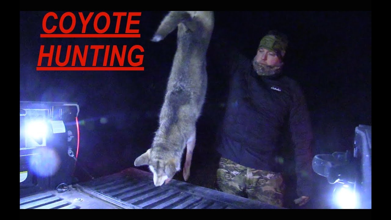 Coyote Hunting THERMAL IMAGING Season 2 Ep. 1 YouTube