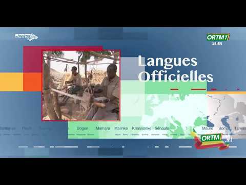 🔴 Direct | Bulletin d'Information en Langues Officielles du 24 Octobre 2026