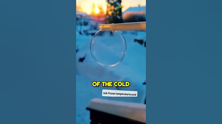 This Guy Makes Amazing Bubbles 🫧
