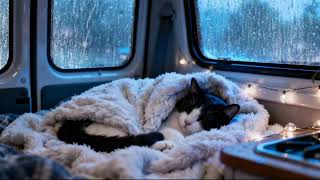Pure Natural Rain on Car Roof | Clean ASMR for Peaceful Sleep