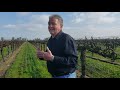 FTV: Lance Randolph, Peirano Family Vineyards