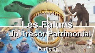 Les Faluns - Un Trésor Patrimonial Partie 2