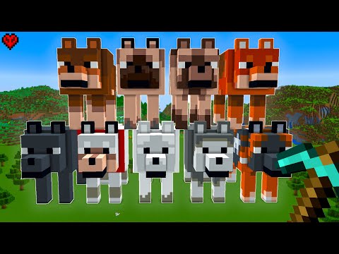 I Built Every Hecking Dog in Minecraft
